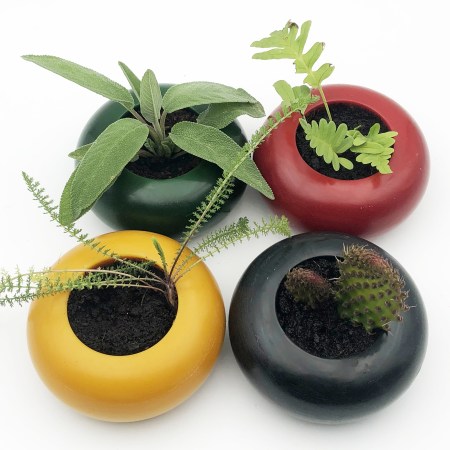 Image pot zen rond plusieurs coloris en cire abeille avec plante pour cadeau