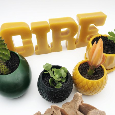 Image pot suspension et pot bonsai avec hexagonal et plante, lettre cire en cire abeille pour cadeau ou décoration original