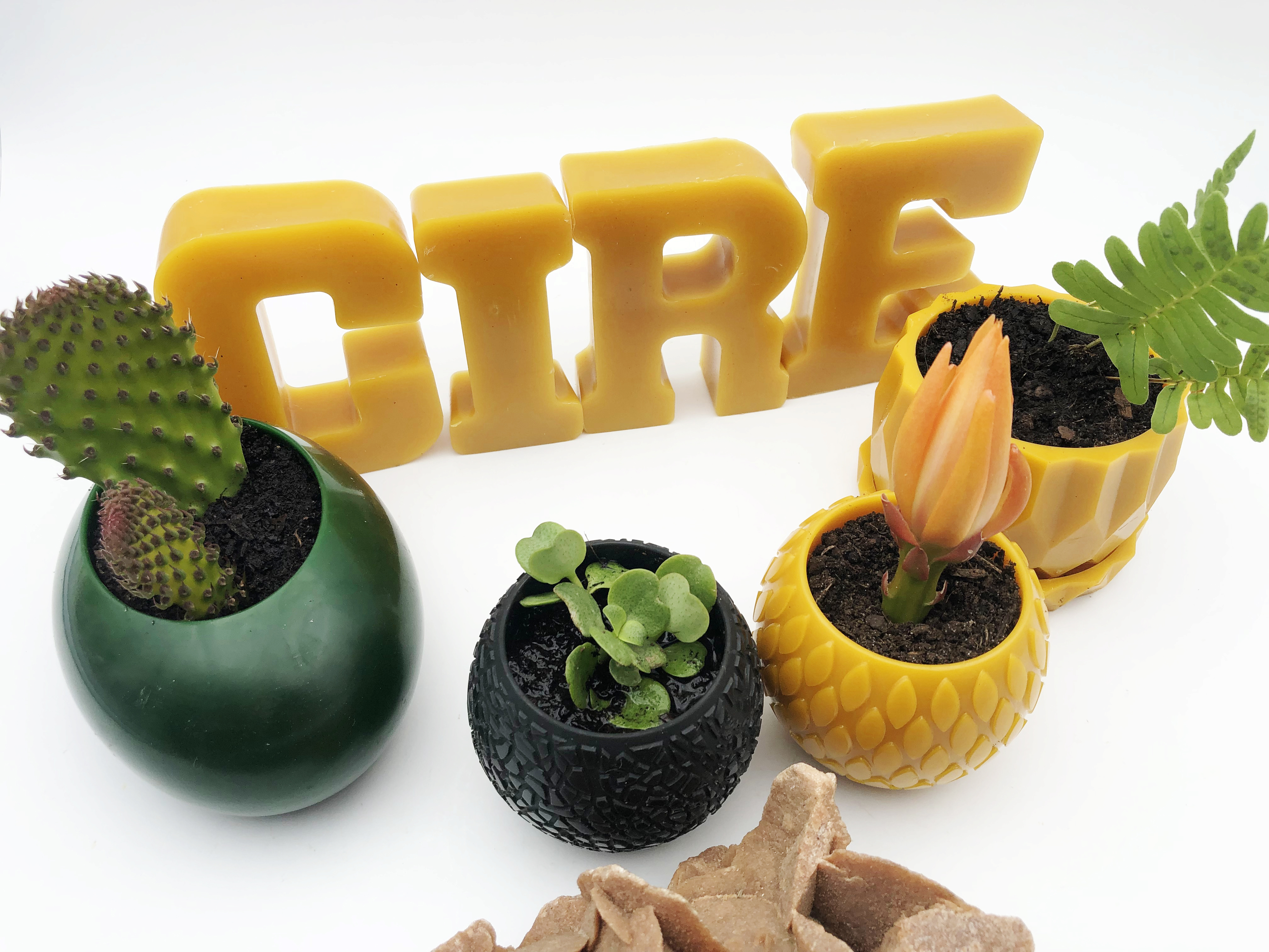 Image pot suspension et pot bonsai avec hexagonal et plante, lettre cire en cire abeille pour cadeau ou décoration original