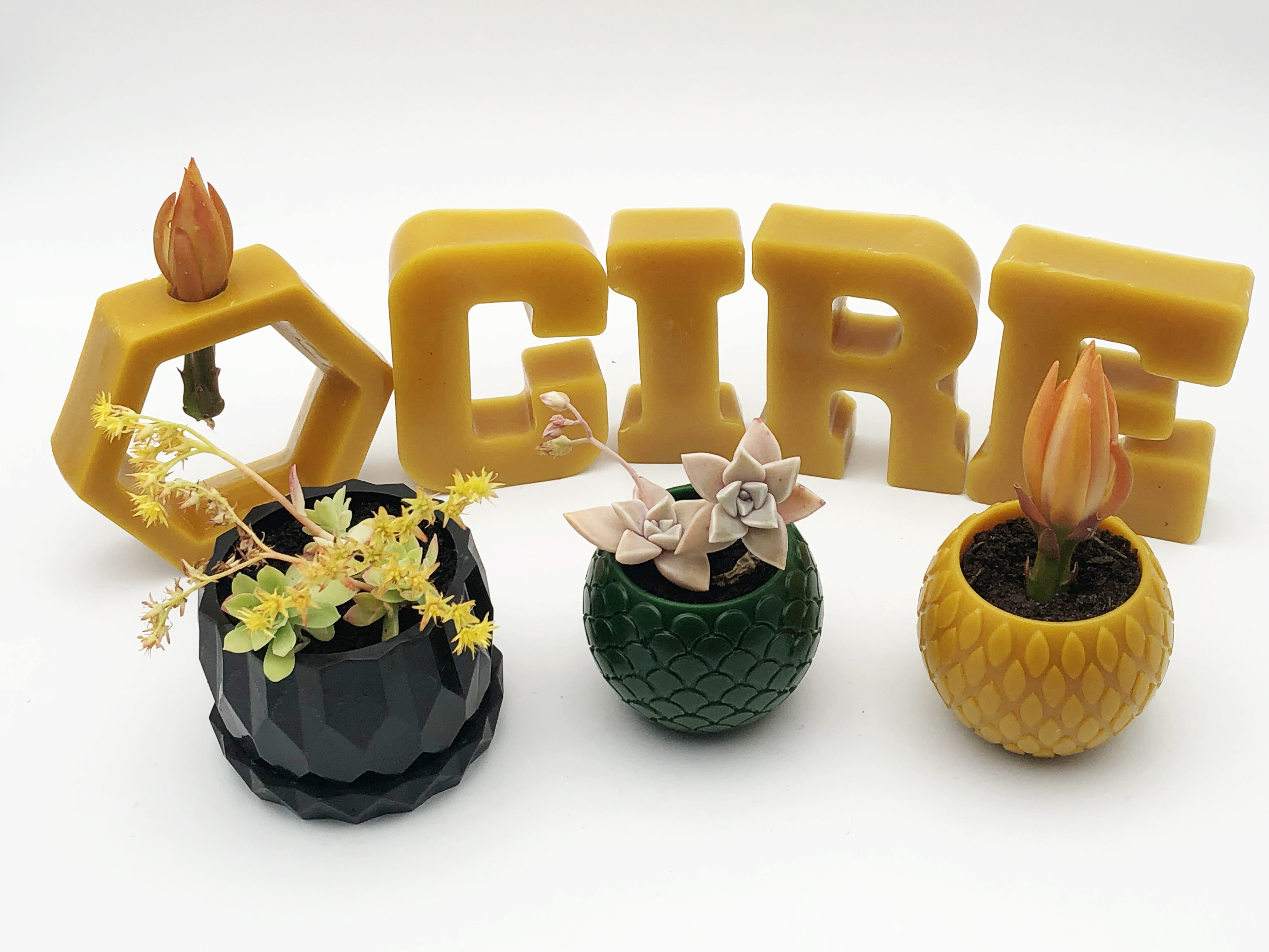 Image pot suspension et pot bonsai avec hexagonal et plante, lettre cire en cire abeille pour cadeau ou décoration original