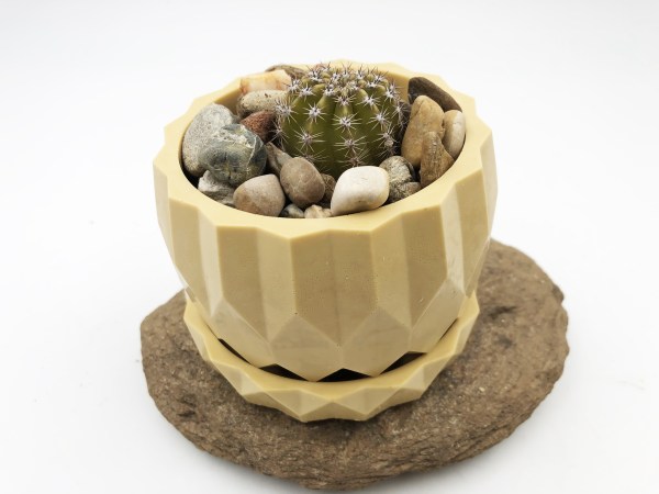 Pot bonsai naturel en cire d'abeille beilsens avec cactus sur une pierre