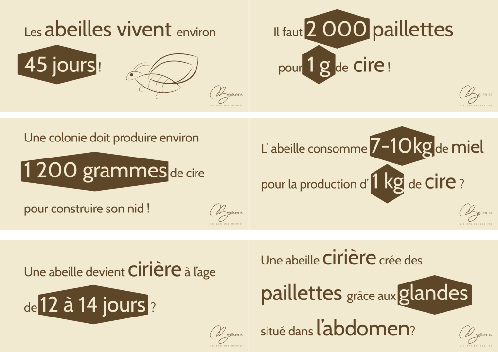 Information  2 la cire d'abeille beilsens